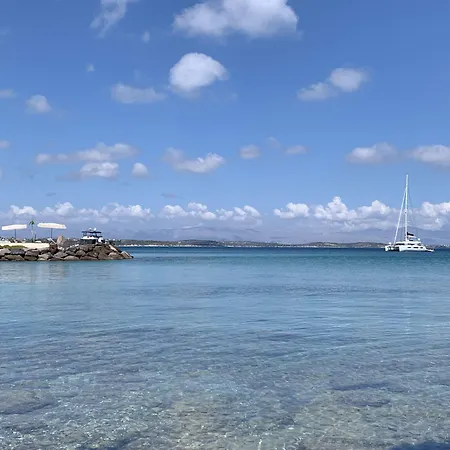 Deniz Kabugu